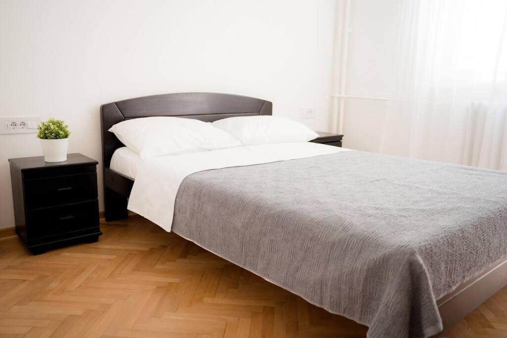 Downtown, Spacious, 2 Bedroom Apartment Βελιγράδι Εξωτερικό φωτογραφία